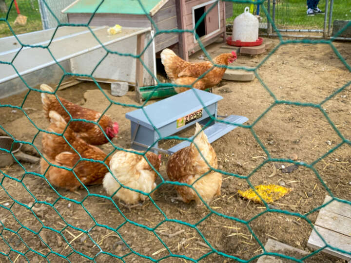 ZIPPER Futterautomat mit Trittbrett